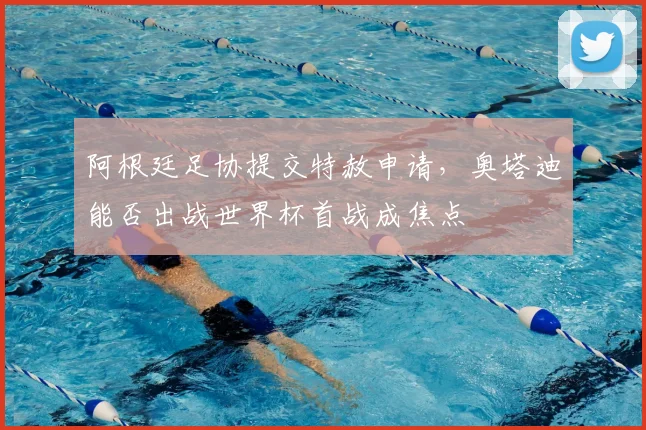 阿根廷足协提交特赦申请，奥塔迪能否出战世界杯首战成焦点